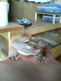 すっきり　くのじ