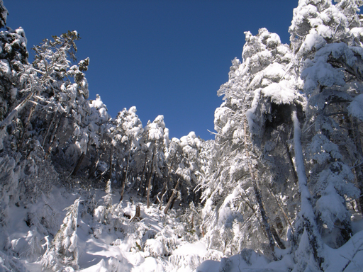 南沢雪樹.jpg