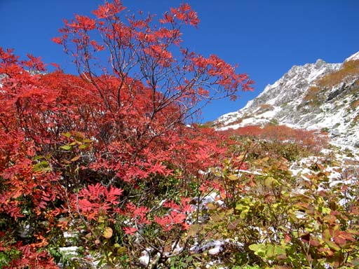 槍沢紅葉