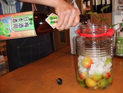 umesyutukuri 010.JPG