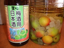 umesyutukuri 011.JPG