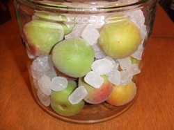 umesyutukuri 007.JPG