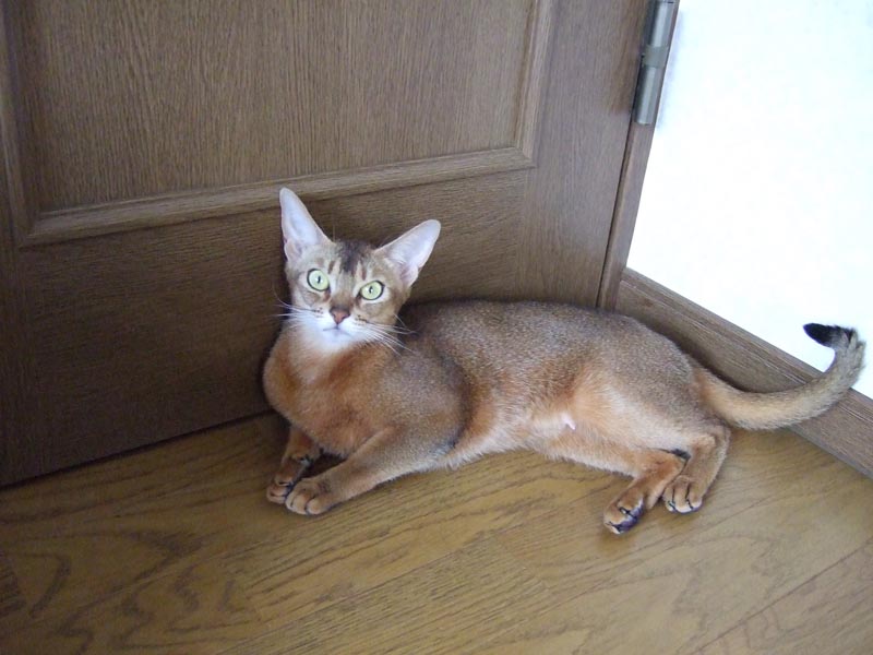 私はここでゆっくり観賞するわ！