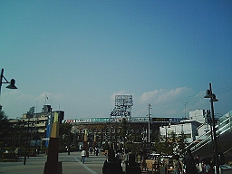 甲子園.jpg