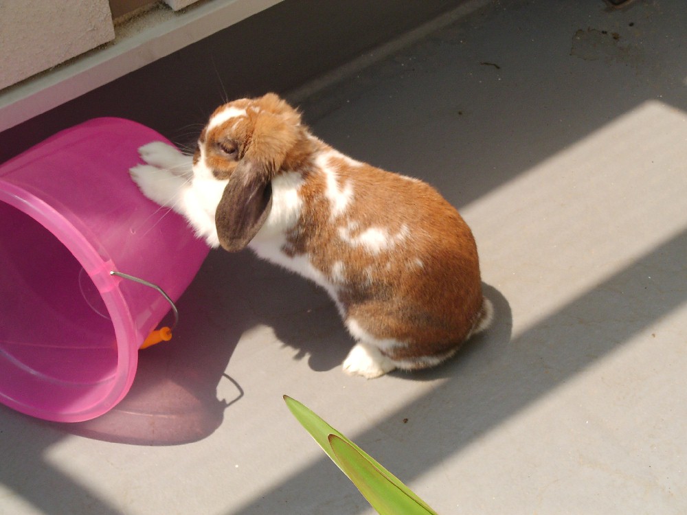 うわぁあああああ