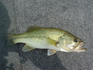 満漢全席7,8 (1).JPG