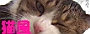 猫風（にゃんぷう）