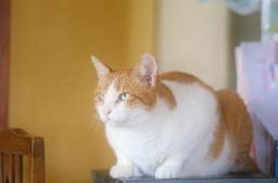 20070907tarosann1.jpg