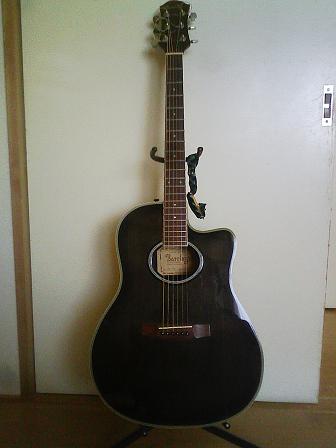 見た目はまぁ…