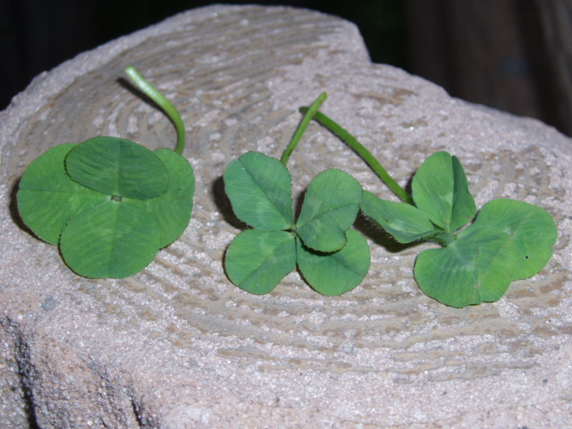 photo 1936.jpg