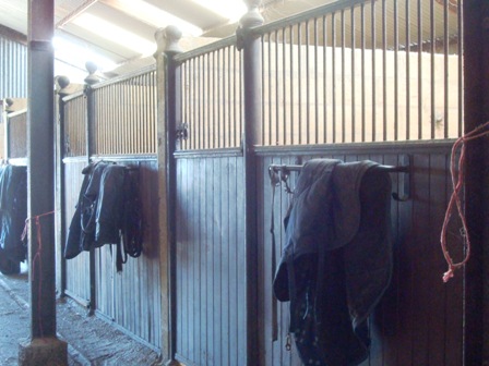 2010 horse Gate & Railing