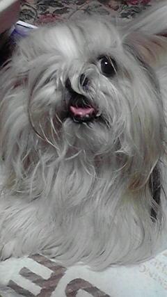 ガスが溜まって・・・