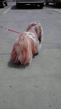 お散歩で・・・