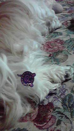 豚さん花火シール