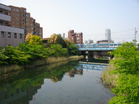 柳島法性寺横十間川.JPG