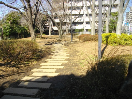 葛西城御殿山公園.JPG