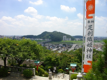 足利城織姫神社より.JPG