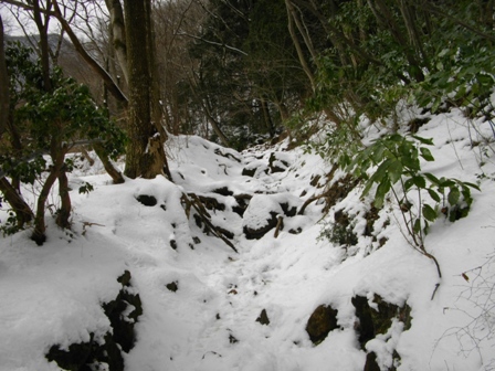 駒ケ岳早雲山～神山登山道1.JPG