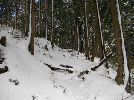 駒ケ岳早雲山～神山登山道3.JPG