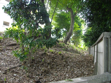 世田谷城土塁豪徳寺1.JPG