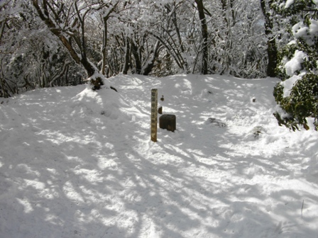 駒ケ岳神山山頂.JPG