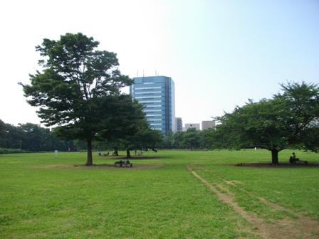 木場公園1.JPG