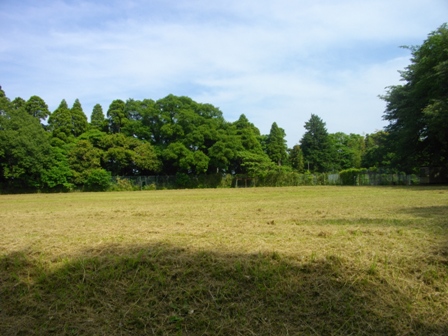 土気城二の丸.JPG