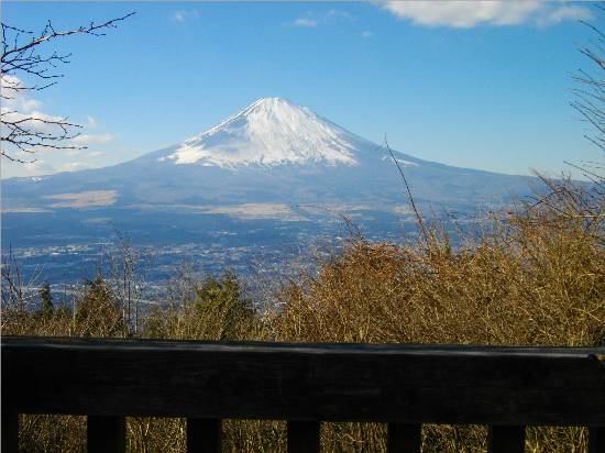 金時山乙女峠富士山2.JPG