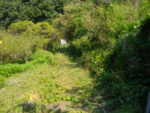 西国街道玖波宿苦の坂1 (500x375).jpg