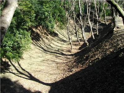 滝山城三の丸空堀.jpg