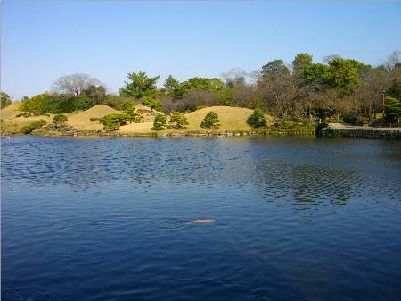 水前寺公園湧水池2.JPG