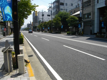 東海道岡崎宿本陣付近.JPG