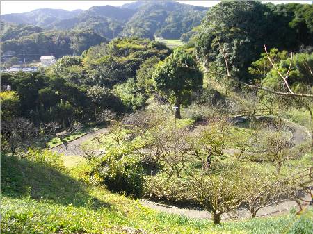 館山城御殿跡.JPG