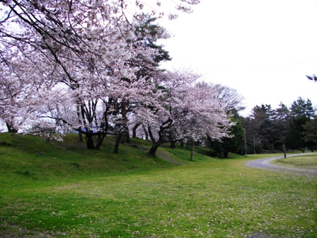 加納城本丸土塁.JPG