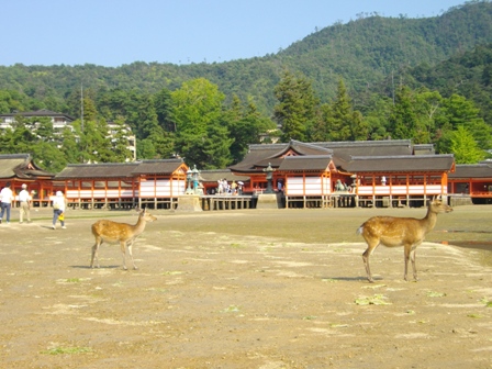 厳島神社社殿.JPG