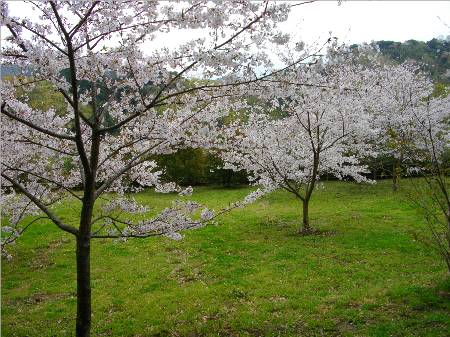 韮山城馬出.JPG