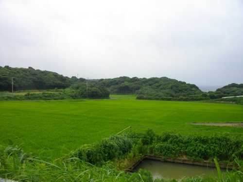 名護屋城陣屋上杉景勝・直江兼続.JPG