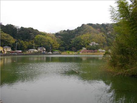 韮山城城池.JPG