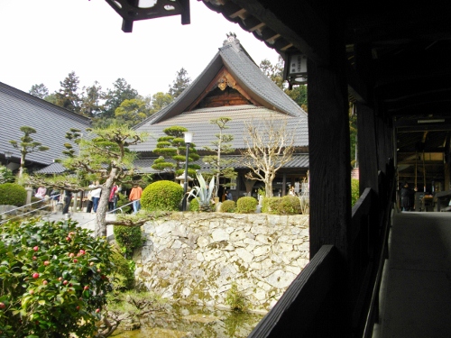 瑠璃光寺本堂２ (500x375).jpg