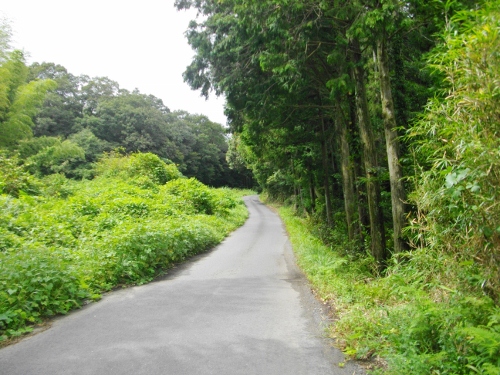 山陽道吉田宿旧街道 (5) (500x375).jpg