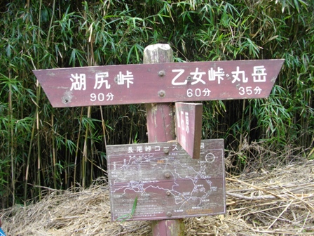 箱根外輪山長尾峠2.JPG