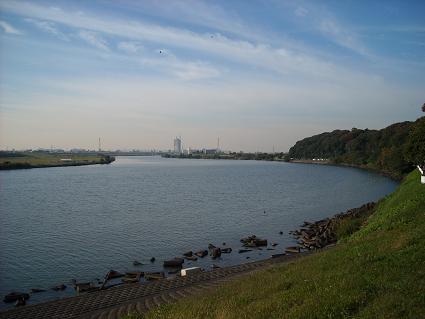 国府台城江戸川遠景.JPG