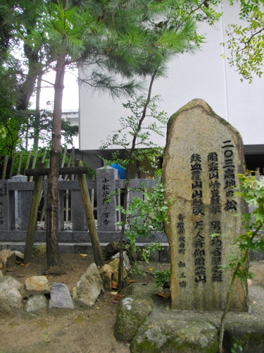 山陽道長府宿乃木神社203高地松 (375x500).jpg