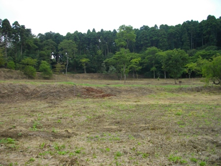 本佐倉城東光寺ビョウ.JPG