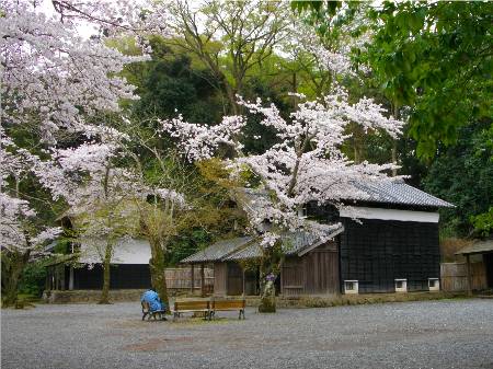 韮山城江川曲輪.JPG