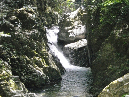 長門峡３ (500x375).jpg