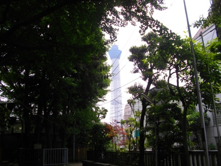 秋葉神社東京スカイツリー.JPG