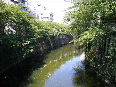 神田川江戸川公園.JPG