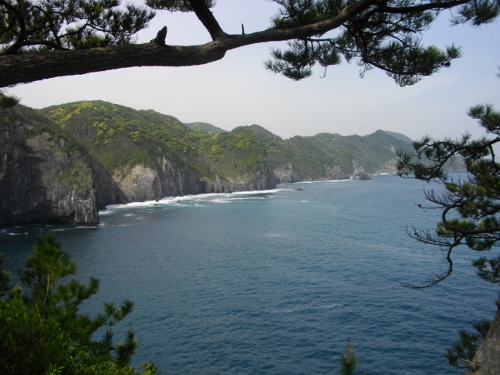 青海島海上アルプス (500x375).jpg