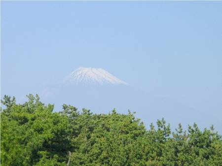 原宿田子の浦富士山.JPG